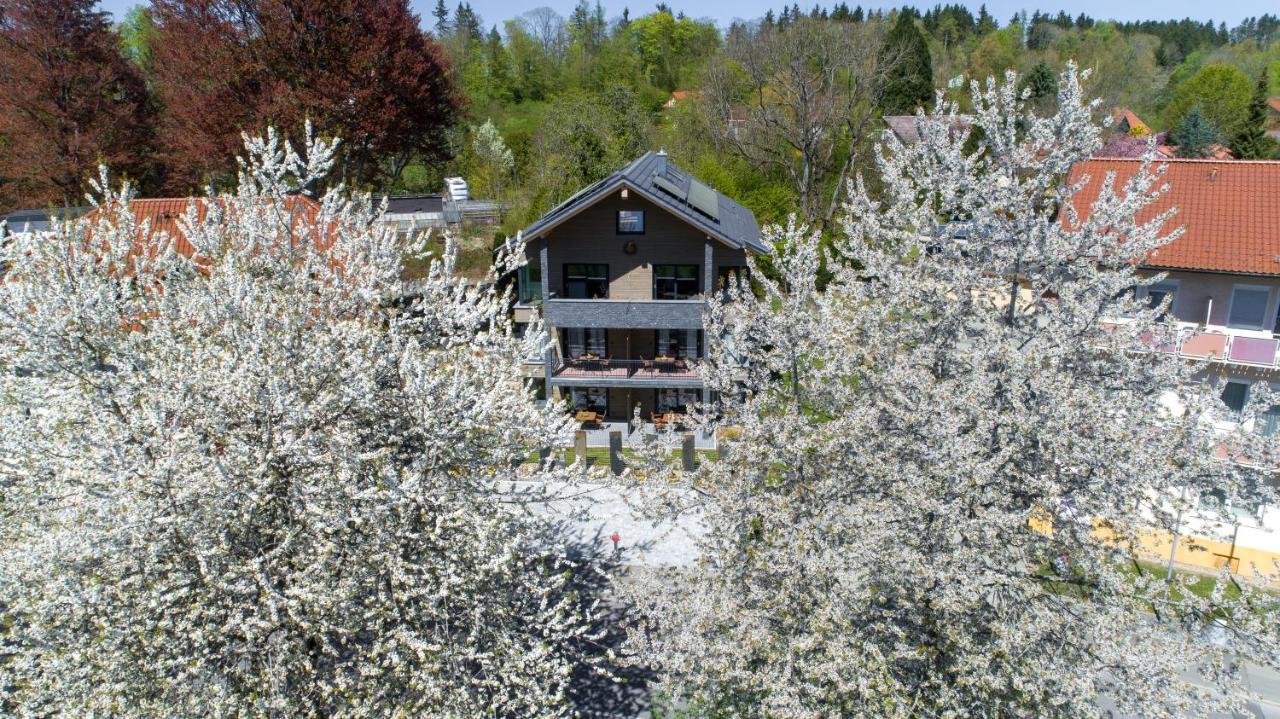 Invita Natur-Chalets Penthouse - Familienurlaub Im Schwarzwald - 240Qm Bad Dürrheim Exterior foto